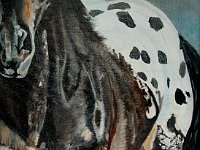 Blanket Appaloosa 8x10