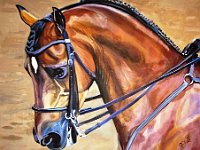 morganparkhorse2 16x20