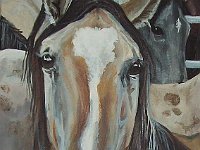 pennedpony8x10