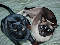 twocats